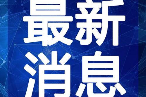小五夫妇爆料视频大全最新,揭秘娱乐圈背后的真实故事